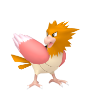 spearow 0 lys